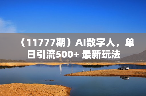 （11777期）AI数字人，单日引流500+ 最新玩法
