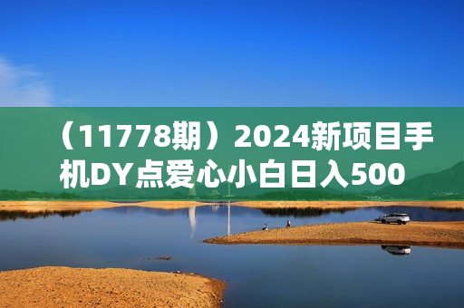 （11778期）2024新项目手机DY点爱心小白日入500+