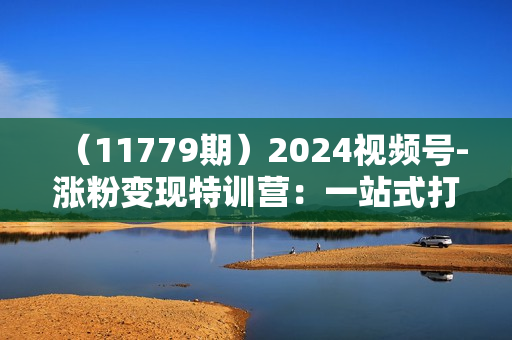 （11779期）2024视频号-涨粉变现特训营：一站式打造稳定视频号涨粉变现模式（10节）