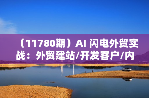 （11780期）AI 闪电外贸实战：外贸建站/开发客户/内容营销/从0到3做外贸AI-更新至75节