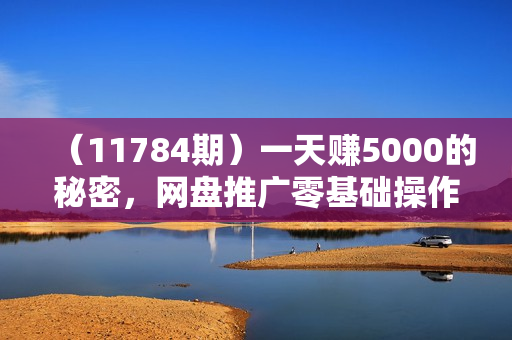 （11784期）一天赚5000的秘密，网盘推广零基础操作，私域赚钱法，0基础当天上手