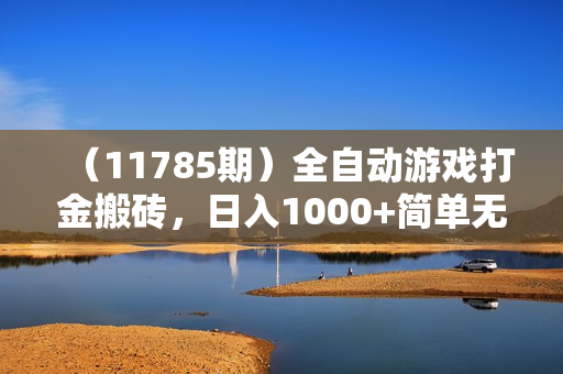 （11785期）全自动游戏打金搬砖，日入1000+简单无脑