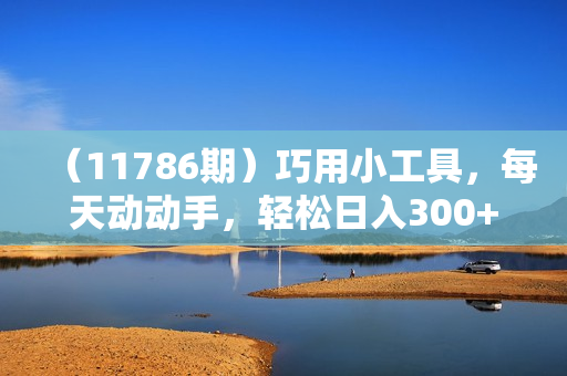 （11786期）巧用小工具，每天动动手，轻松日入300+