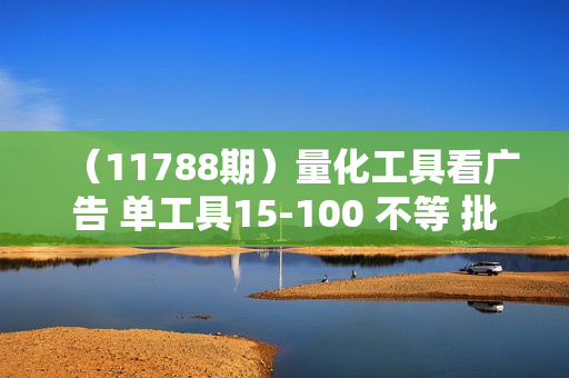 （11788期）量化工具看广告 单工具15-100 不等 批量轻松10000+ 手机即可操作