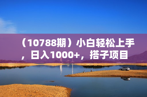 （10788期）小白轻松上手，日入1000+，搭子项目