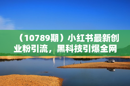 （10789期）小红书最新创业粉引流，黑科技引爆全网流量裂变，简单操作长期吸粉