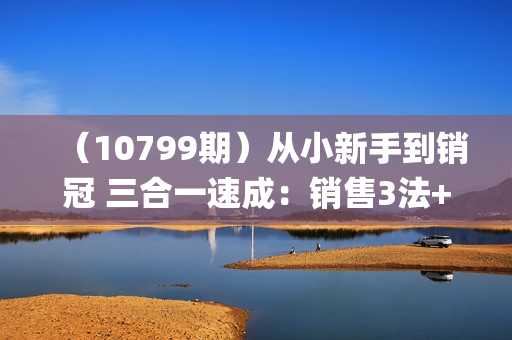 （10799期）从小新手到销冠 三合一速成：销售3法+非暴力关单法+销售系统挖需课 (27节)