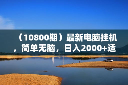 （10800期）最新电脑挂机，简单无脑，日入2000+适合新手小白个人可矩阵，工作室模