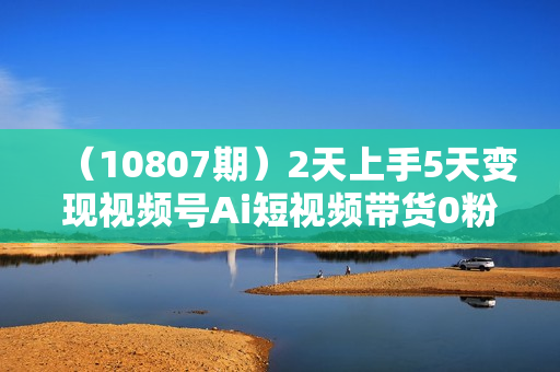 （10807期）2天上手5天变现视频号Ai短视频带货0粉丝0基础小白轻松月入过万