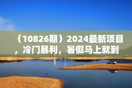 （10826期）2024最新项目，冷门暴利，暑假马上就到了，整个假期都是高爆发期，一单