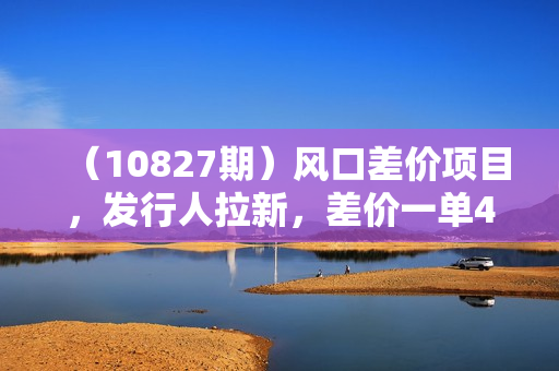 （10827期）风口差价项目，发行人拉新，差价一单40，小白一部手机即可操作，日入20