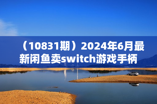 （10831期）2024年6月最新闲鱼卖switch游戏手柄，新手月入过万的第一个好项目