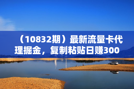 （10832期）最新流量卡代理掘金，复制粘贴日赚3000+，零成本零投入，新手小白有手就行