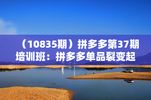 （10835期）拼多多第37期培训班：拼多多单品裂变起爆2.0（17节课）