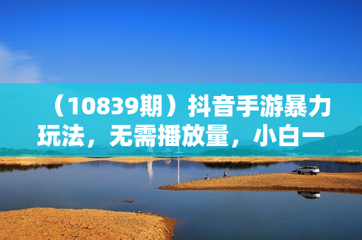 （10839期）抖音手游暴力玩法，无需播放量，小白一部手机可操作，日入3000+