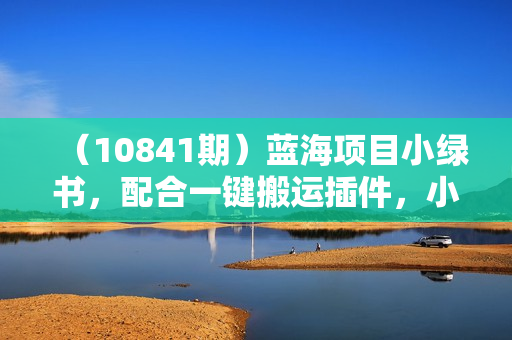 （10841期）蓝海项目小绿书，配合一键搬运插件，小白轻松入手