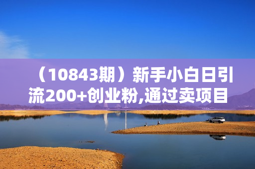 （10843期）新手小白日引流200+创业粉,通过卖项目月入3W+