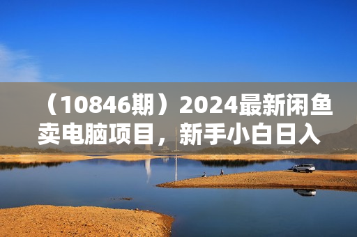 （10846期）2024最新闲鱼卖电脑项目，新手小白日入3K+，最真实的项目教学