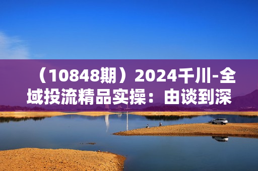 （10848期）2024千川-全域投流精品实操：由谈到深一步一步讲解，教你直播带货-15节