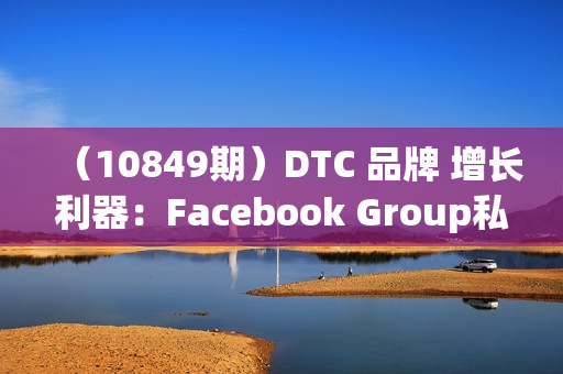 （10849期）DTC 品牌 增长利器：Facebook Group私域 营销，提高活跃度和粘性 实现