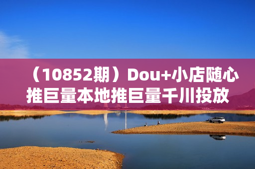 （10852期）Dou+小店随心推巨量本地推巨量千川投放课从基础到进阶实操投放课（38节）
