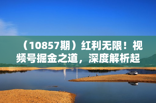 （10857期）红利无限！视频号掘金之道，深度解析起号爆流秘诀，轻松实现日入 1000+！