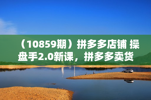 （10859期）拼多多店铺 操盘手2.0新课，拼多多卖货的底层逻辑，打造爆款的3个周期-8节