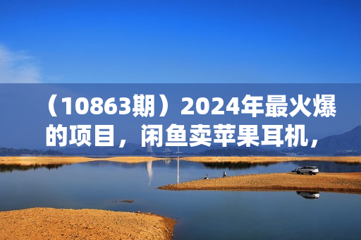 （10863期）2024年最火爆的项目，闲鱼卖苹果耳机，新手小白轻松月入2W+简单易上手