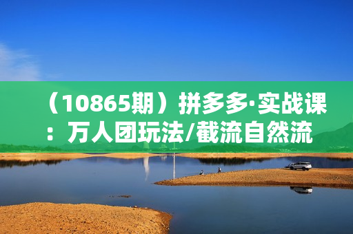 （10865期）拼多多·实战课：万人团玩法/截流自然流/最新强付费打法/最新原价卡大促..