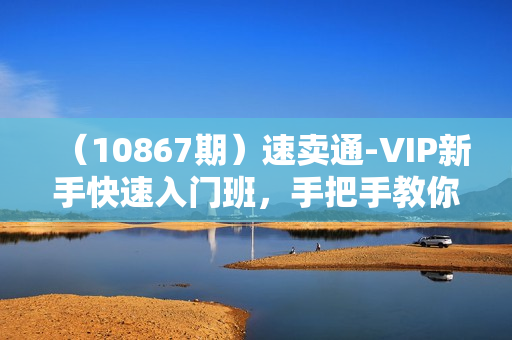（10867期）速卖通-VIP新手快速入门班，手把手教你在速卖通快速开店（72节课）