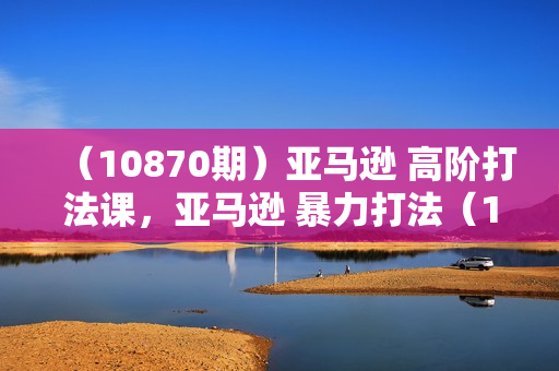 （10870期）亚马逊 高阶打法课，亚马逊 暴力打法（14节课）