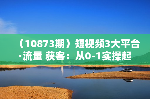 （10873期）短视频3大平台·流量 获客：从0-1实操起盘做号+流量 创收（18节课）