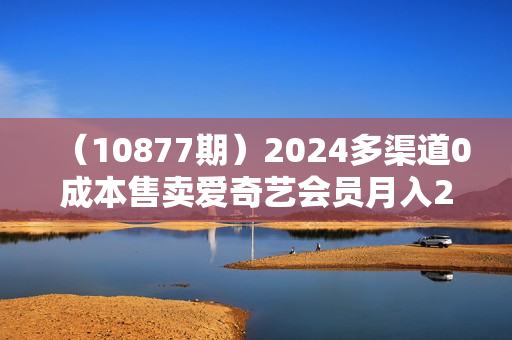 （10877期）2024多渠道0成本售卖爱奇艺会员月入2W＋