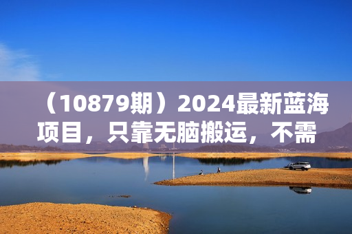 （10879期）2024最新蓝海项目，只靠无脑搬运，不需要剪辑，有手就会，京东图文视频