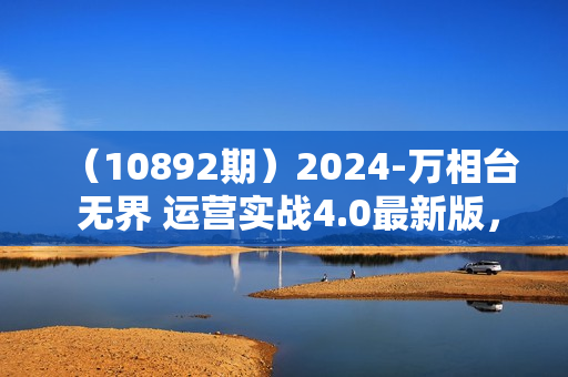 （10892期）2024-万相台 无界 运营实战4.0最新版，店铺 运营推广必修 理论+实操