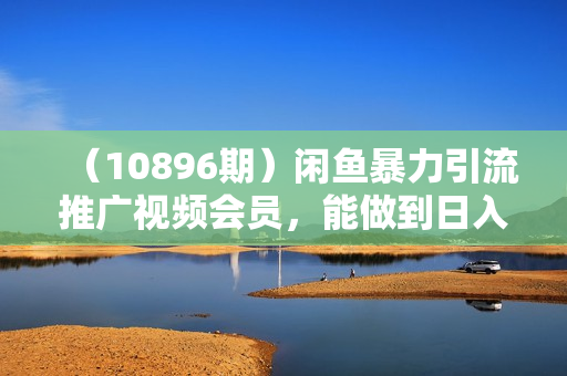 （10896期）闲鱼暴力引流推广视频会员，能做到日入2W+，操作简单