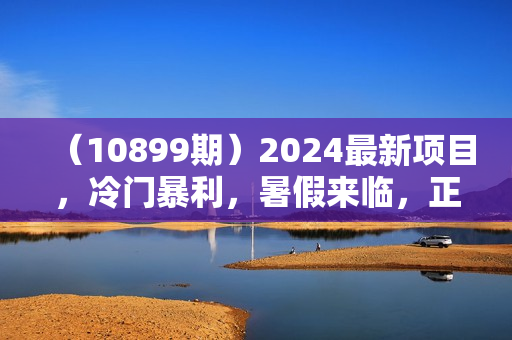 （10899期）2024最新项目，冷门暴利，暑假来临，正是项目利润爆发时期。市场很大，