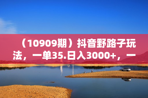（10909期）抖音野路子玩法，一单35.日入3000+，一部手机可操作