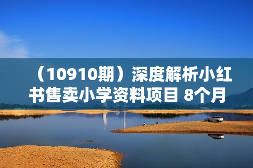 （10910期）深度解析小红书售卖小学资料项目 8个月收入20W+轻松引流8000+操作简单
