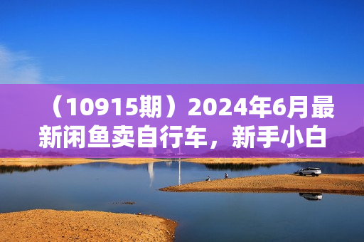 （10915期）2024年6月最新闲鱼卖自行车，新手小白轻松月入3w+项目