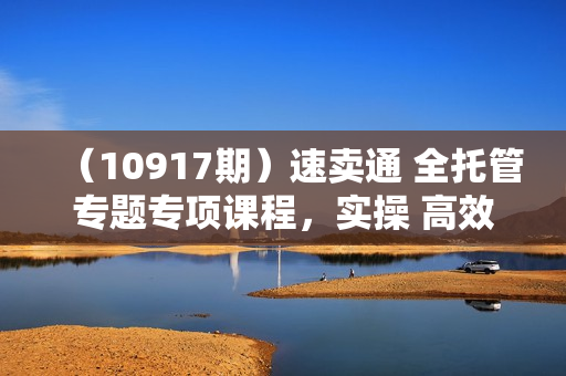 （10917期）速卖通 全托管专题专项课程，实操 高效 爆单（11节课）
