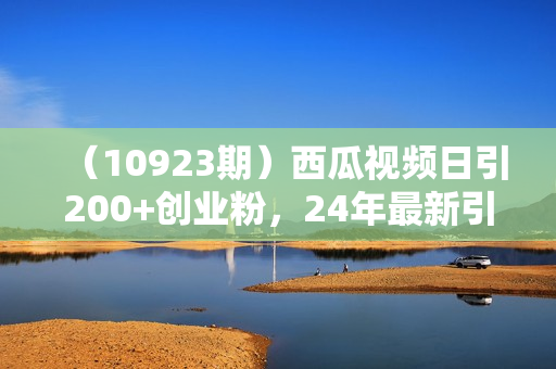 （10923期）西瓜视频日引200+创业粉，24年最新引流实操教程，简单好落地，轻松上手