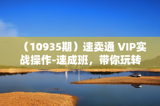 （10935期）速卖通 VIP实战操作-速成班，带你玩转速卖通平台（23节）