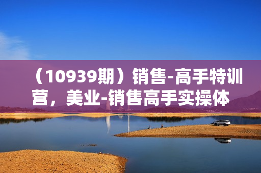 （10939期）销售-高手特训营，美业-销售高手实操体系课，三大销售体系带你破局-38节