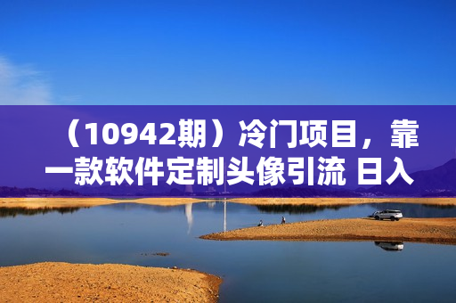 （10942期）冷门项目，靠一款软件定制头像引流 日入1000+小白轻松上手，第二天见收益