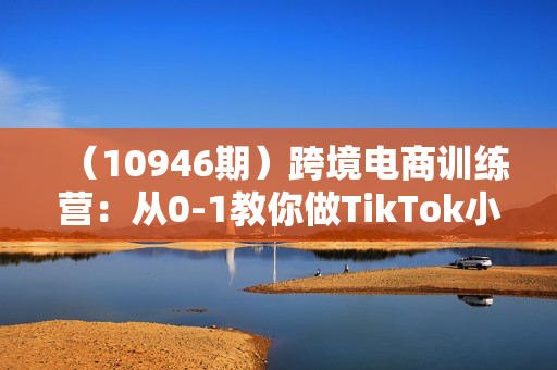 （10946期）跨境电商训练营：从0-1教你做TikTok小店实操课（17节视频课）