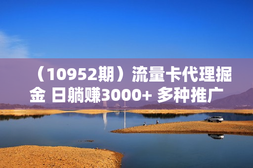 （10952期）流量卡代理掘金 日躺赚3000+ 多种推广渠道 新手小白轻松落地