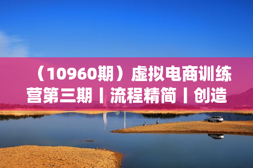 （10960期）虚拟电商训练营第三期丨流程精简丨创造新品丨引流升级 [完结]