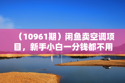 （10961期）闲鱼卖空调项目，新手小白一分钱都不用垫付，操作极其简单，日入2K+