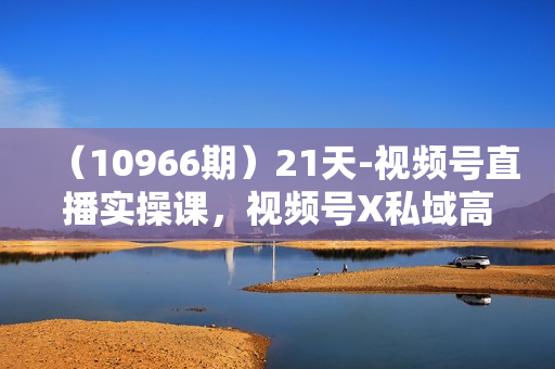 （10966期）21天-视频号直播实操课，视频号X私域高效引流与转化（22节课）
